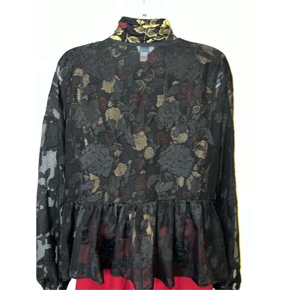 Gothic Romantic Sheer Floral Blouse Women’s SMALL - Picture 5 of 7